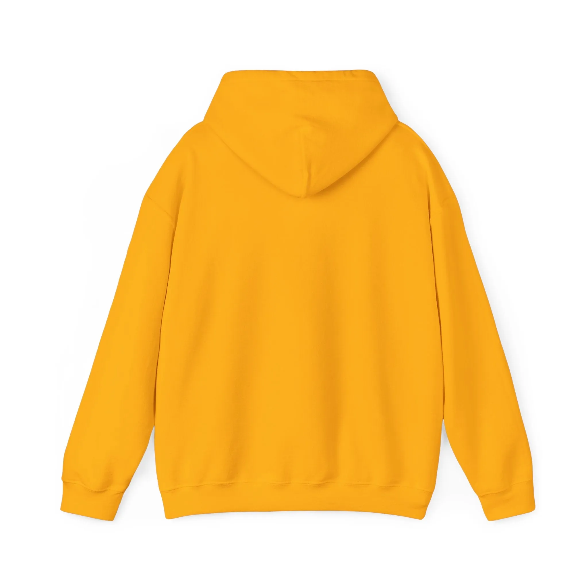 Arepa power unisex sweatshirt Venezuela, Colombia collection.