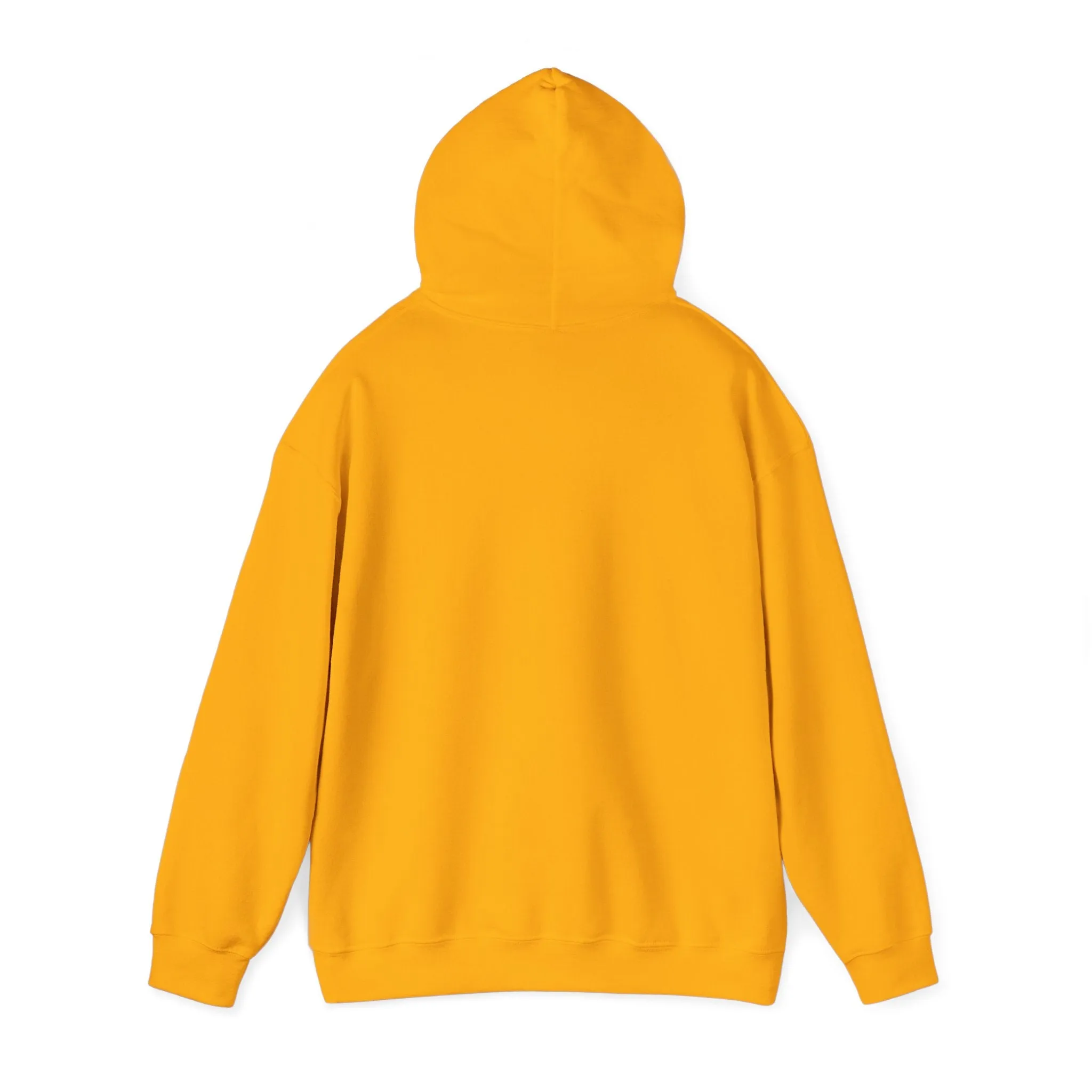 Arepa power unisex sweatshirt Venezuela, Colombia collection.