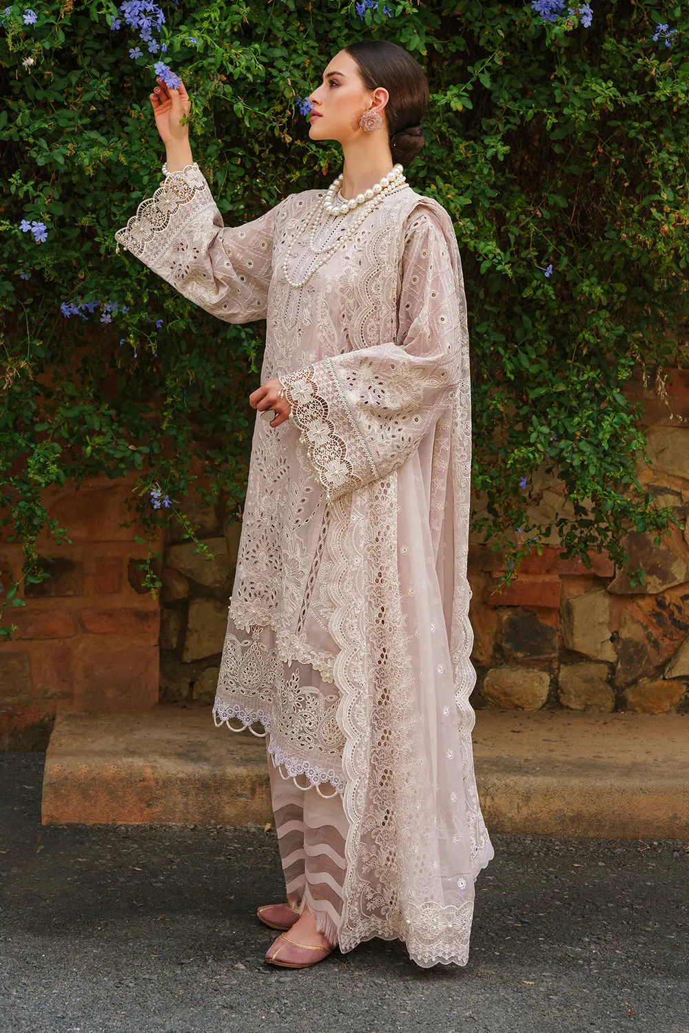 BAROQUE | BAROQUE – SWISS LAWN COLLECTION 24 | SL12-D03