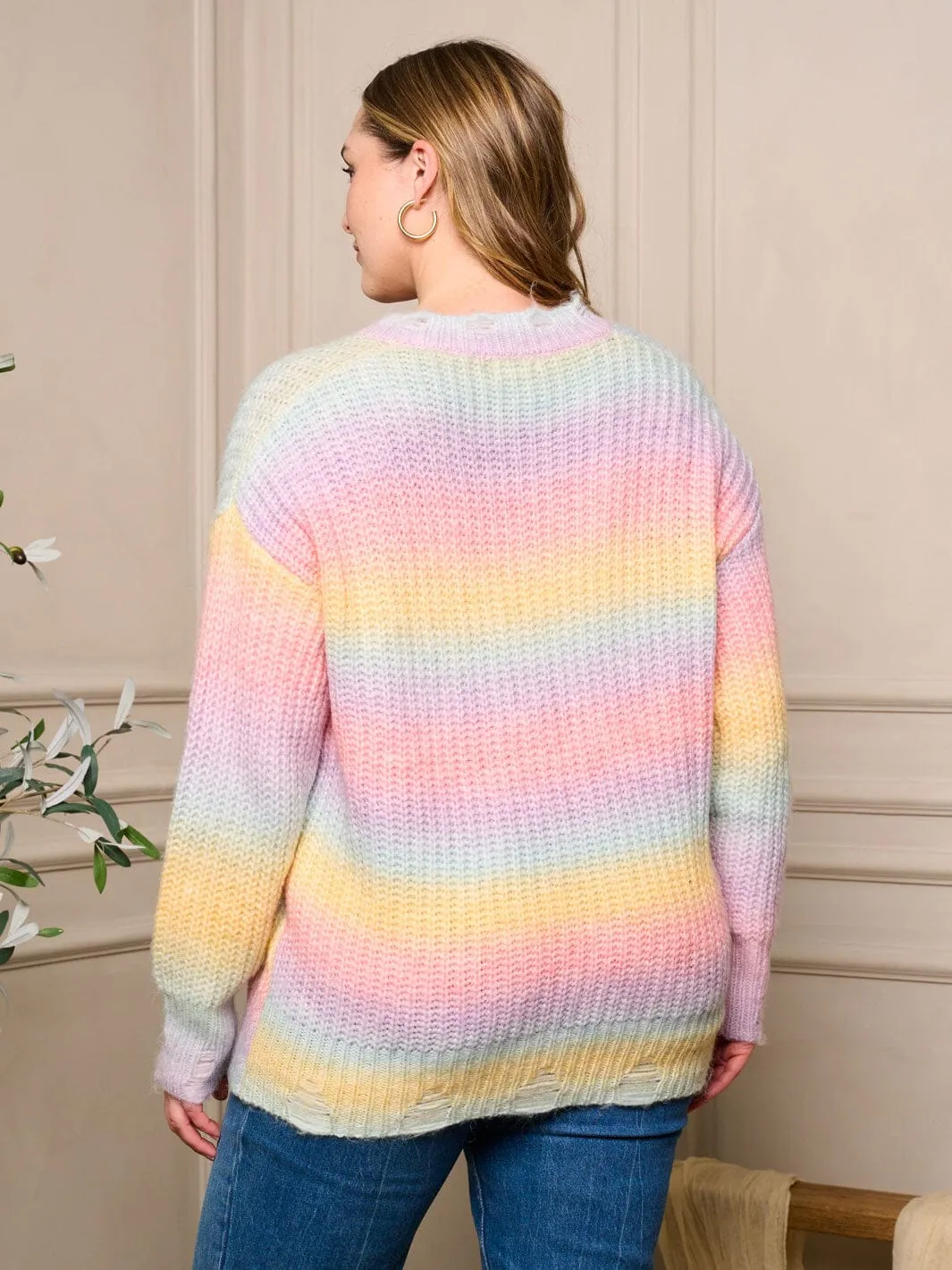PLUS SIZE LONG SLEEVE V-NECK PULLOVER COLORBLOCK DISTRESS SWEATER