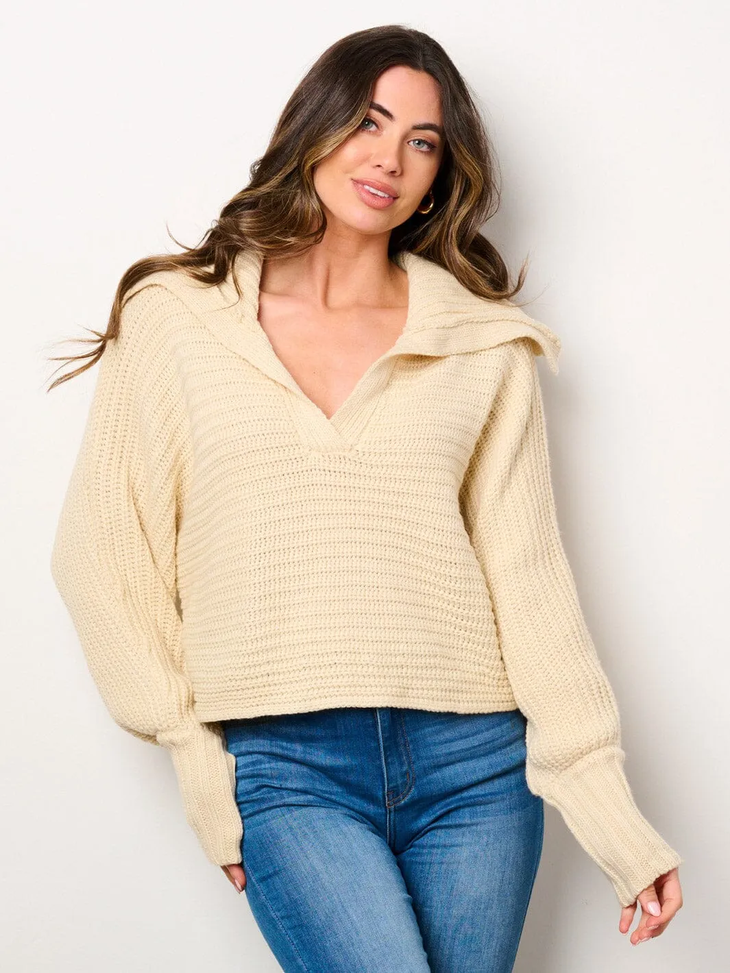 WOMEN'S LONG SLEEVE V-NECK COLLAR PULLOVER SWEATER