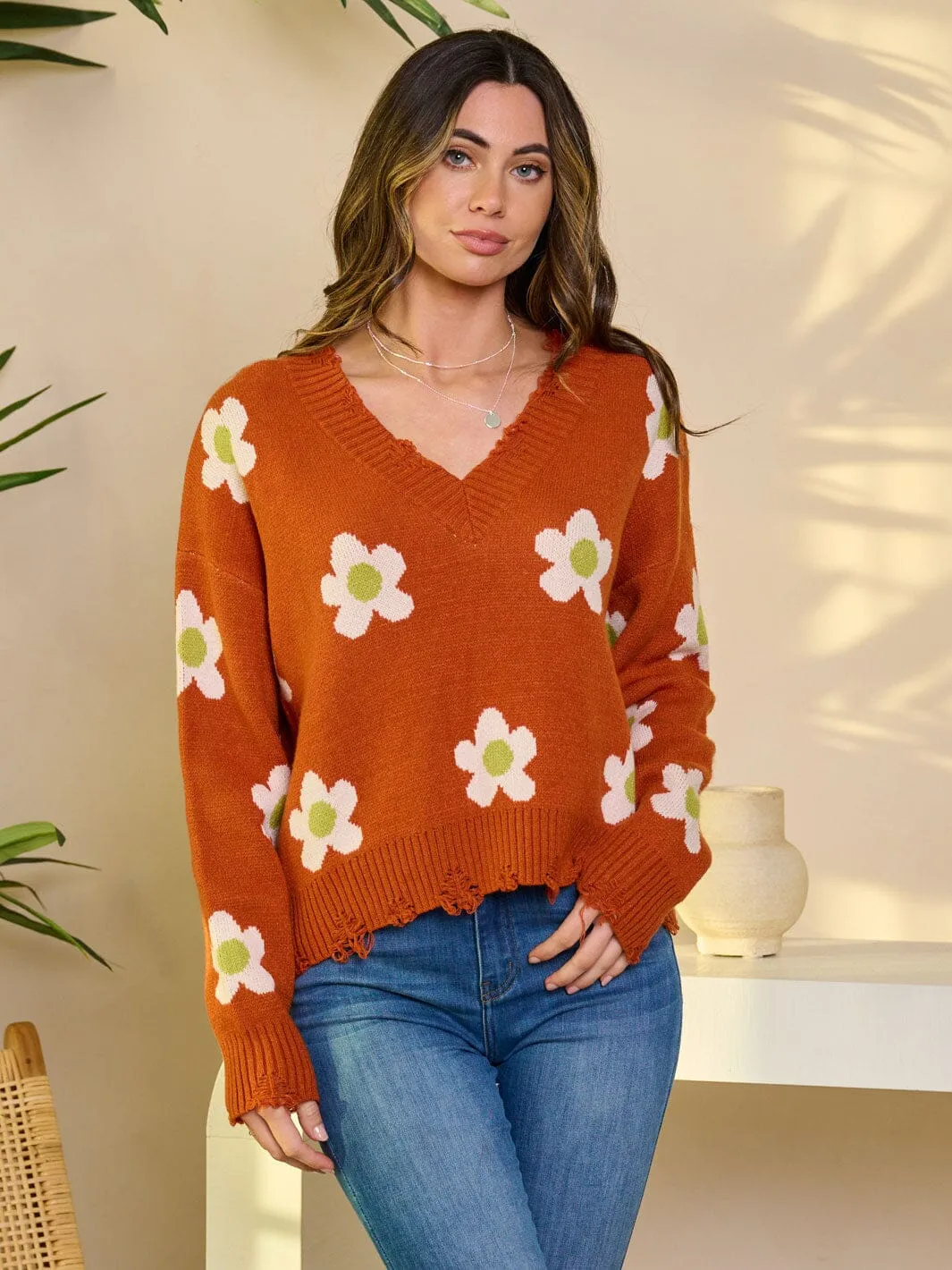 WOMEN'S LONG SLEEVE V-NECK PULLOVER GRAPHIC SWEATER